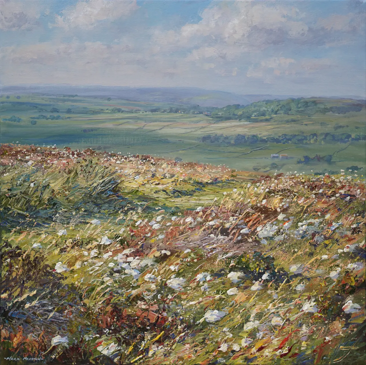 Mark Preston - pathway through the cottongrass, longstone moor